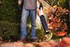 PictureAltAttribute - 6-25-jpg